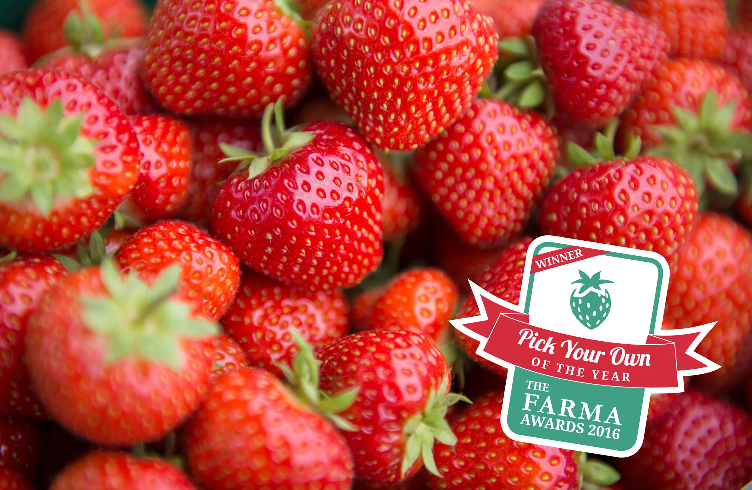 Lotmead_Farm_149_FARMA.jpg