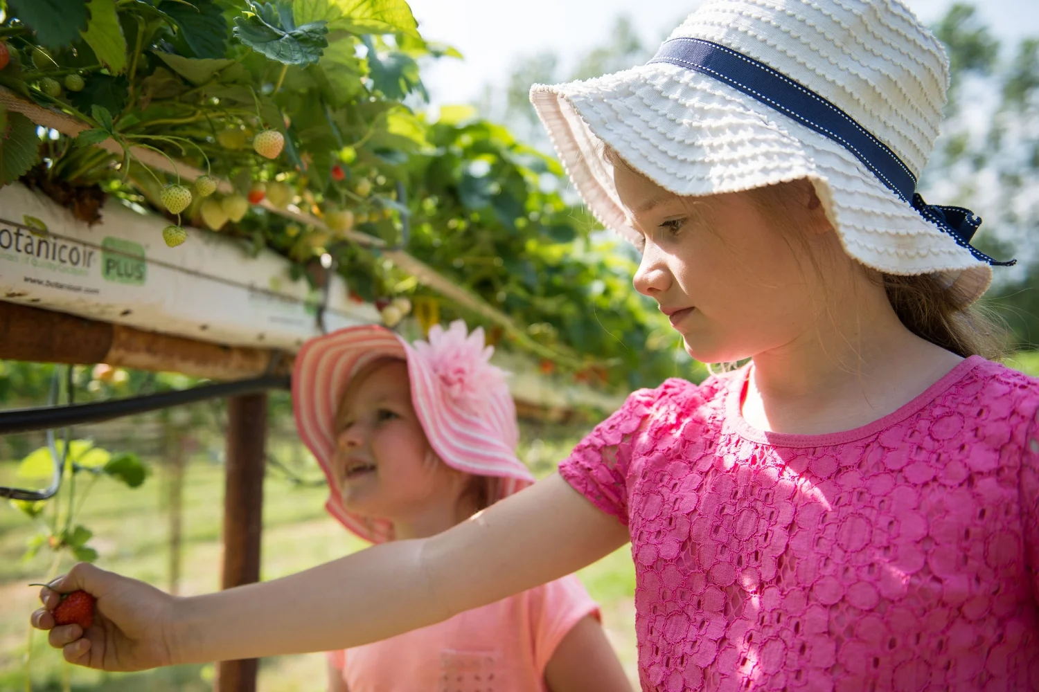 Lotmead_Farm_037.jpg