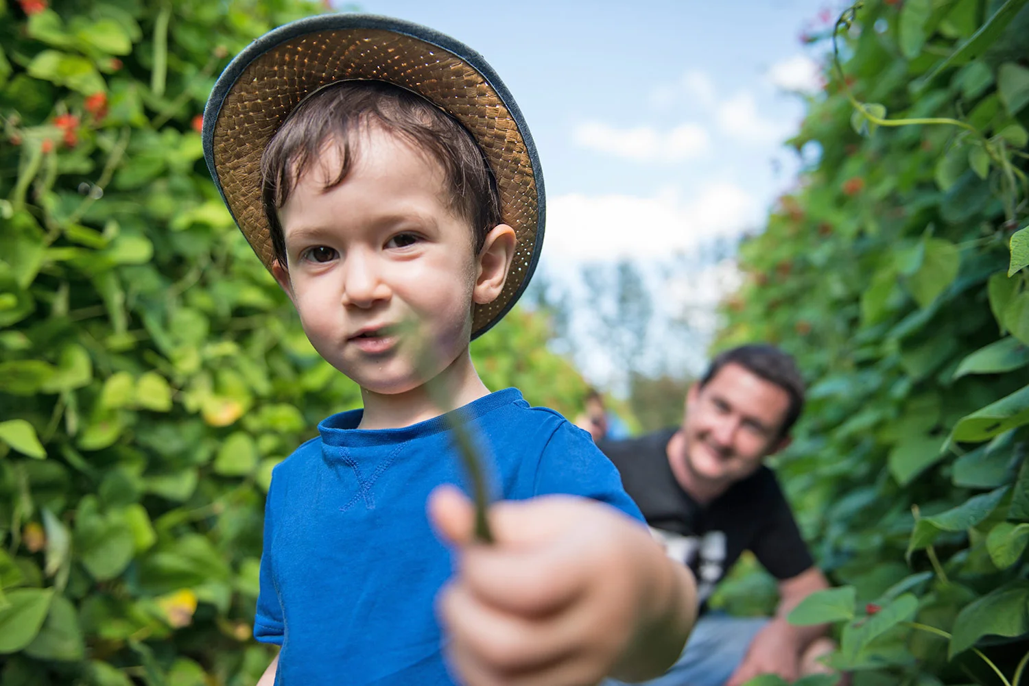 Lotmead_Farm_458.jpg
