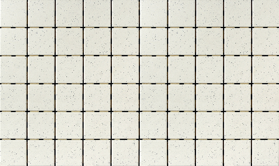 White Granite 2” x 2” | OD.QC.WHG.0202.FS