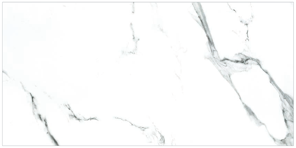 White 12” x 24” | OV.CX.WHT.1224.MT | Matte 12” x 24” | OV.CX.WHT.1224.PL | Polished