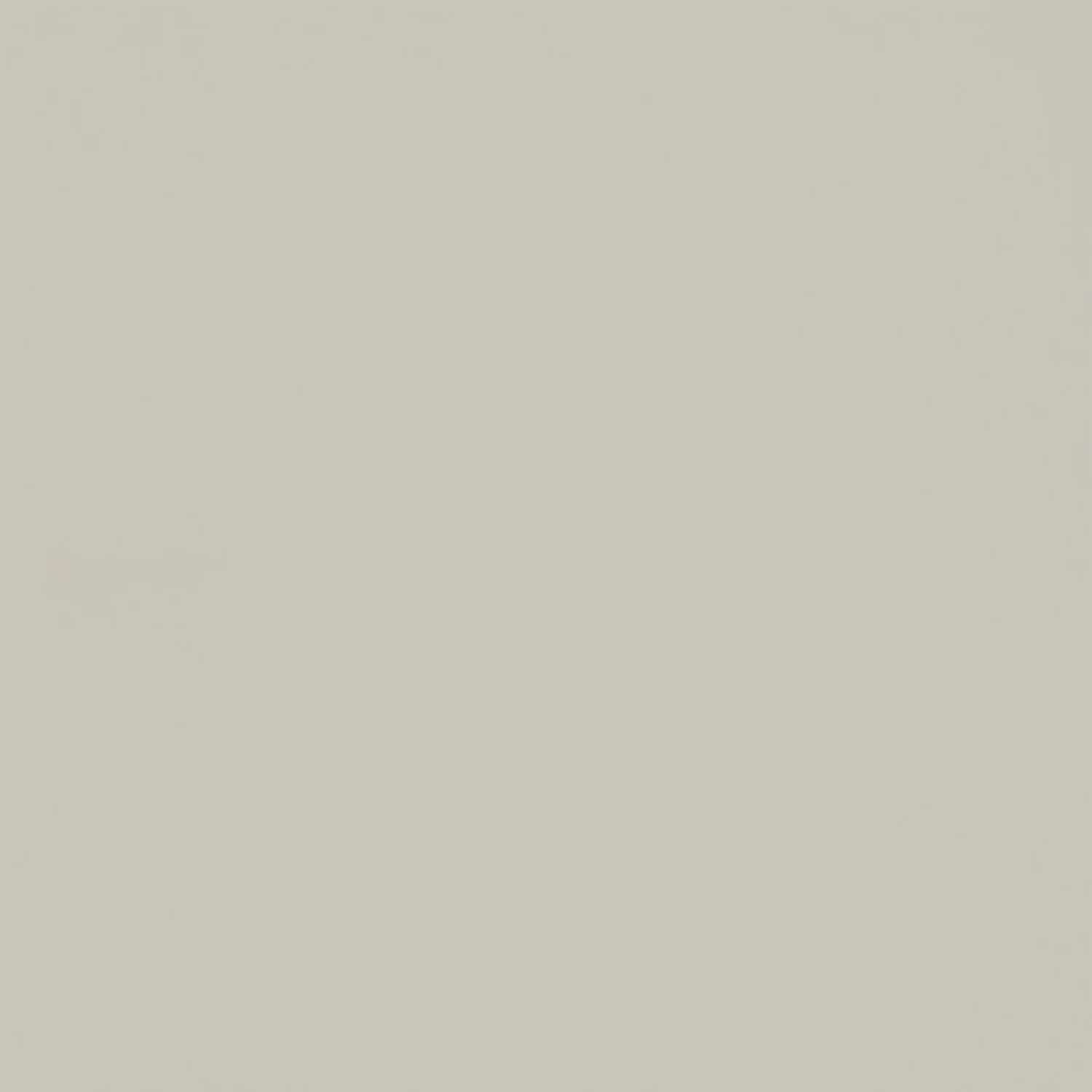 Forever Color — Thompson Tile & Stone