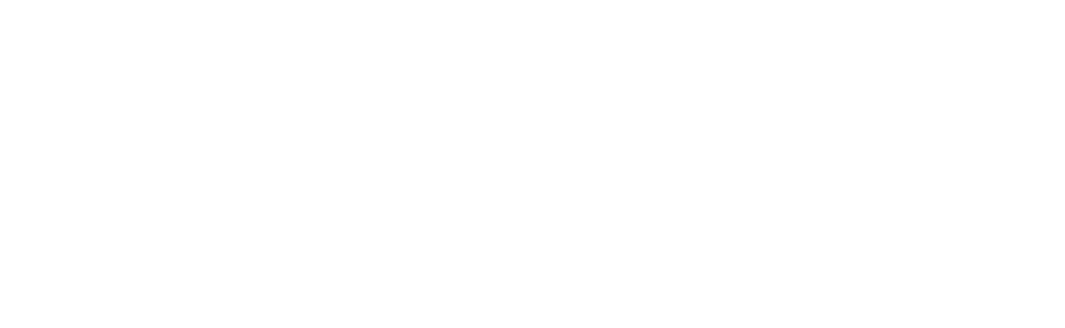 The Packard Institute