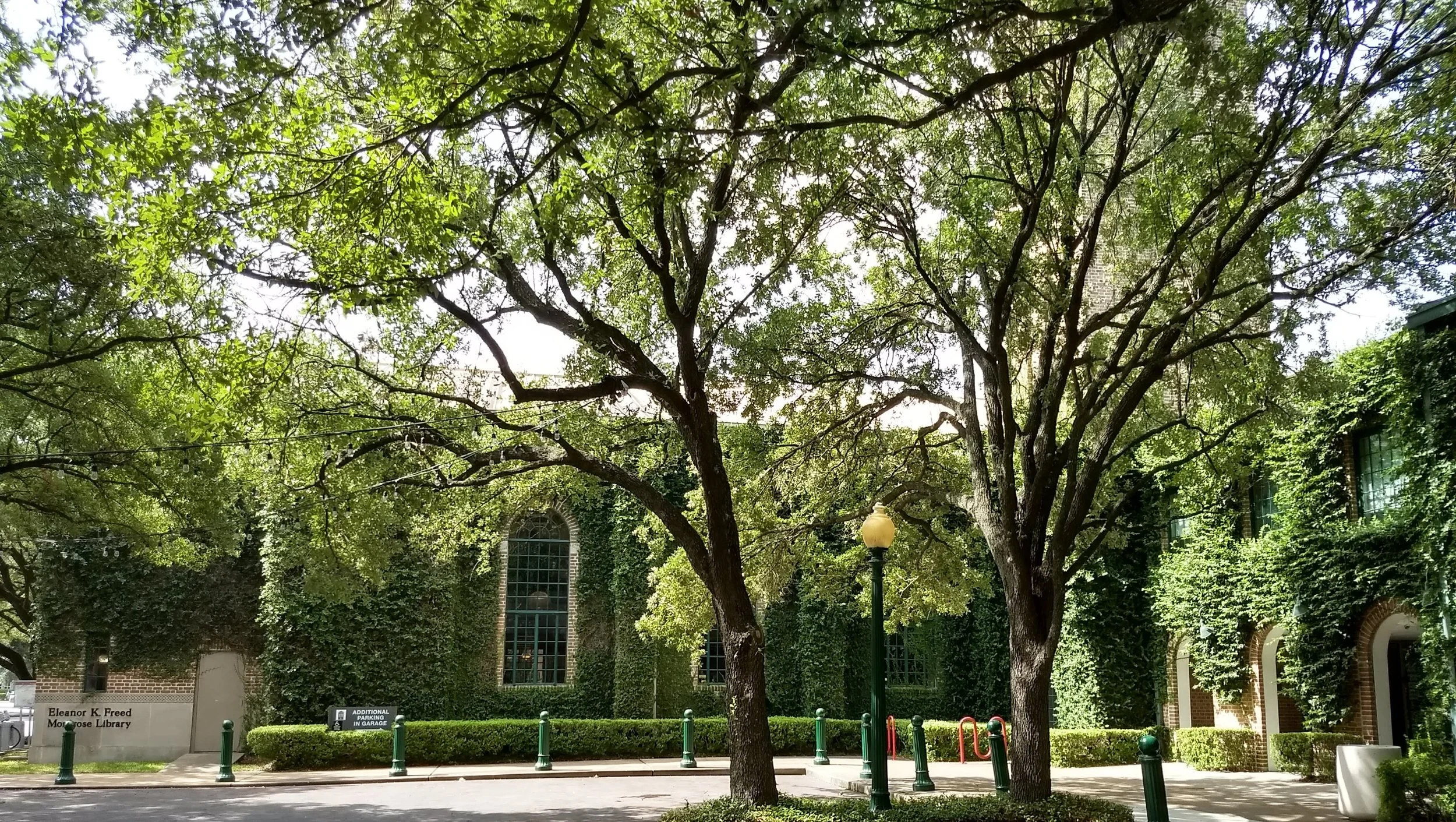 Campanile Chess-2 14Aug2018.jpg