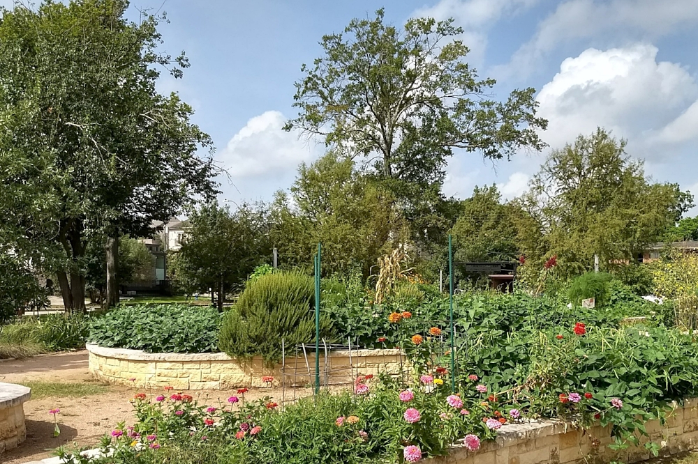 neartown-mandell-park-meredith-gardens.jpg