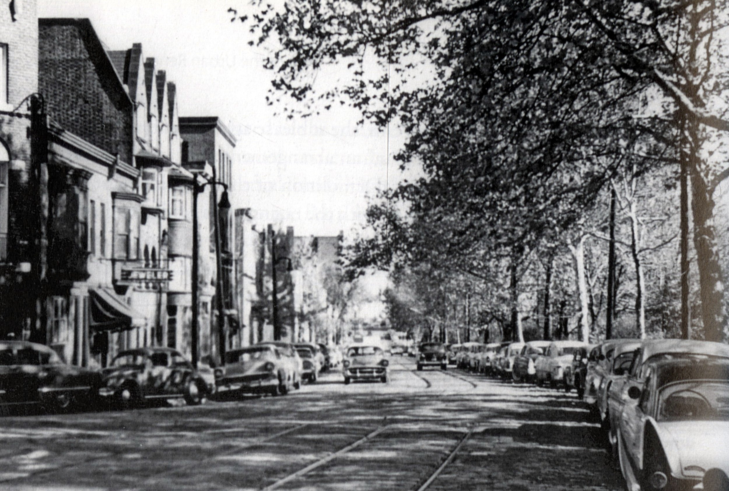 Woodland Avenue between 36th and 34th Streets_0.jpg