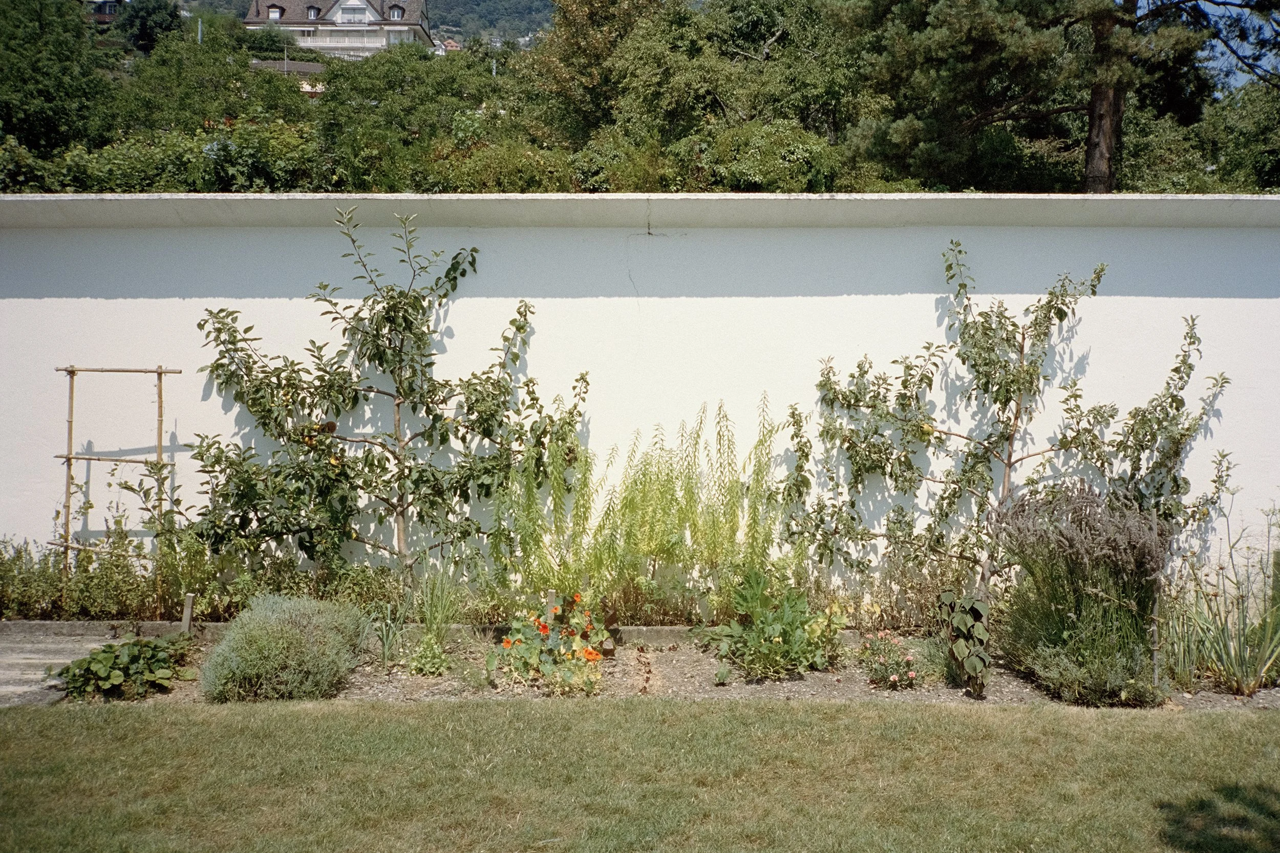 Vevey 012A.jpg