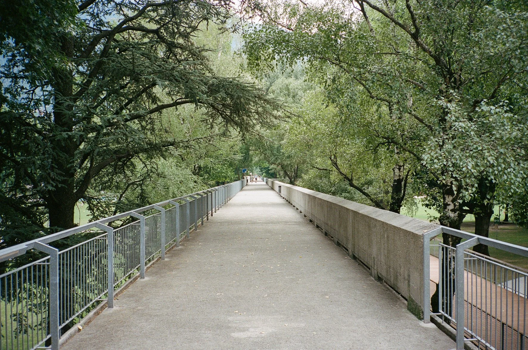 00009864_007.jpg