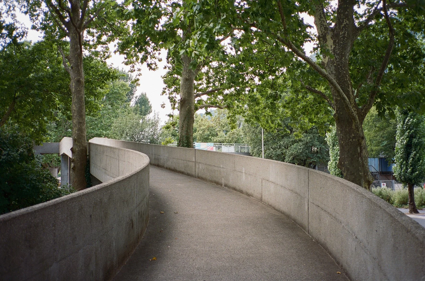 00009864_004.jpg