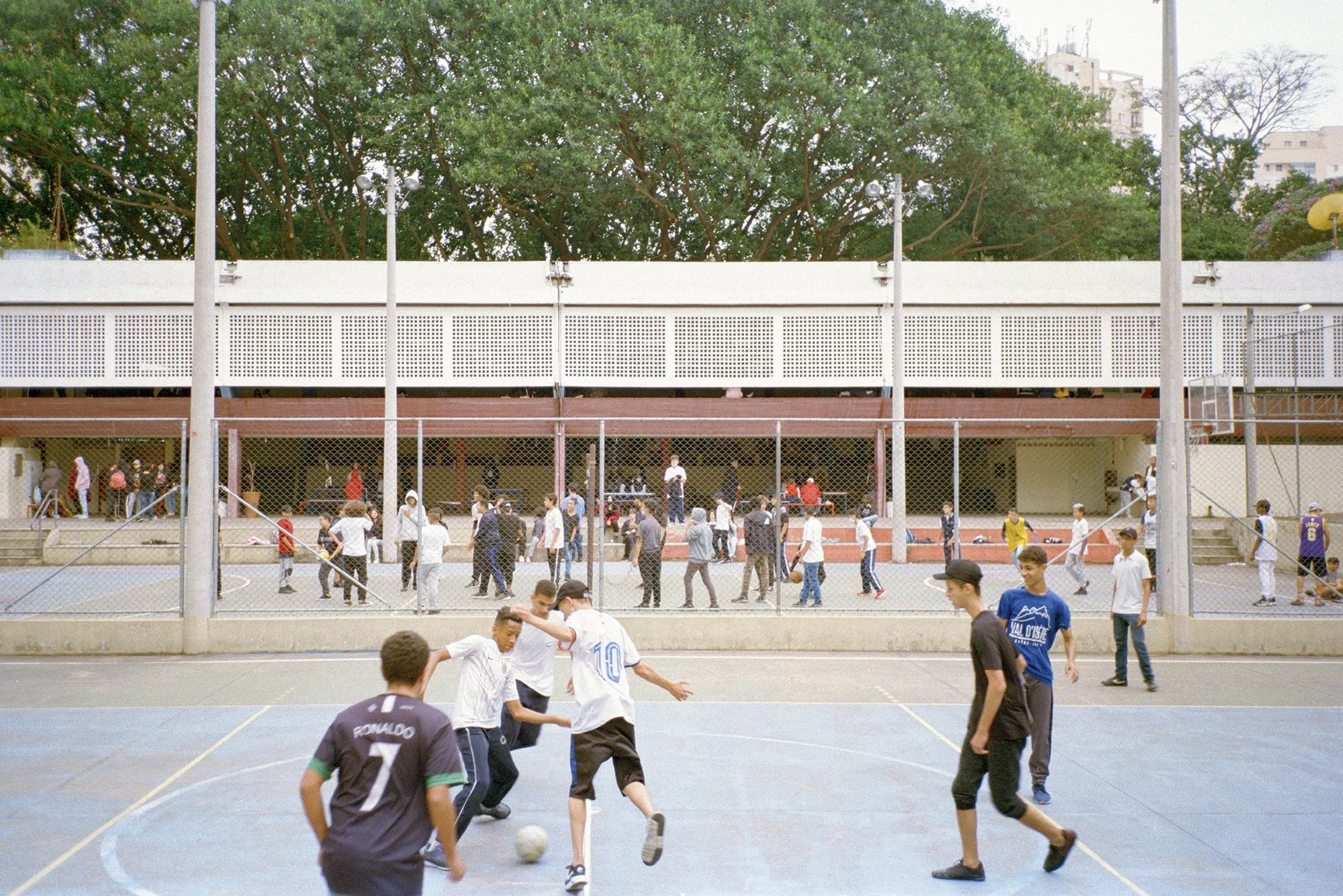 DSCF8346A.jpg