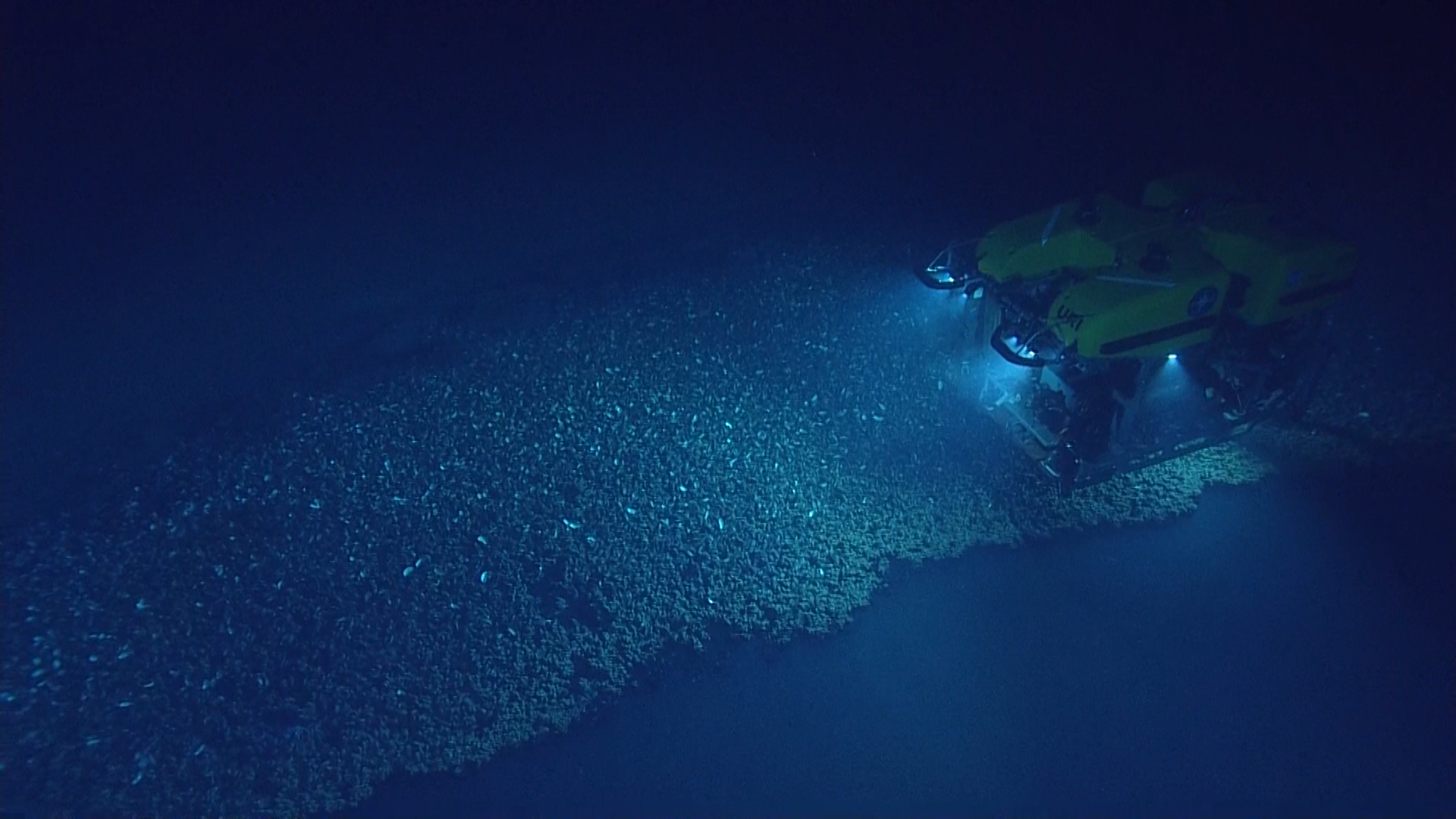 Copy of ROV_HERCULES_AtBrinePool.png