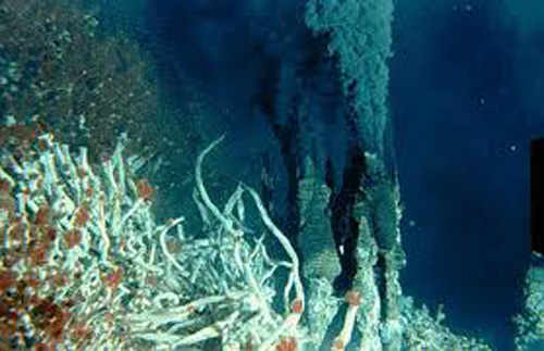 Black smoker with Riftia tube worms