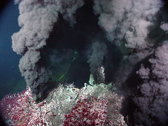 Black smoker with Riftia tube worms (photo courtesy of NOAA)