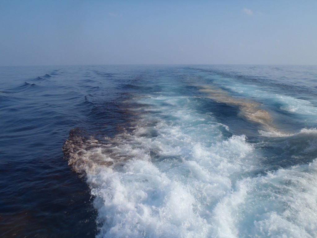 Oil in the wake of the ship