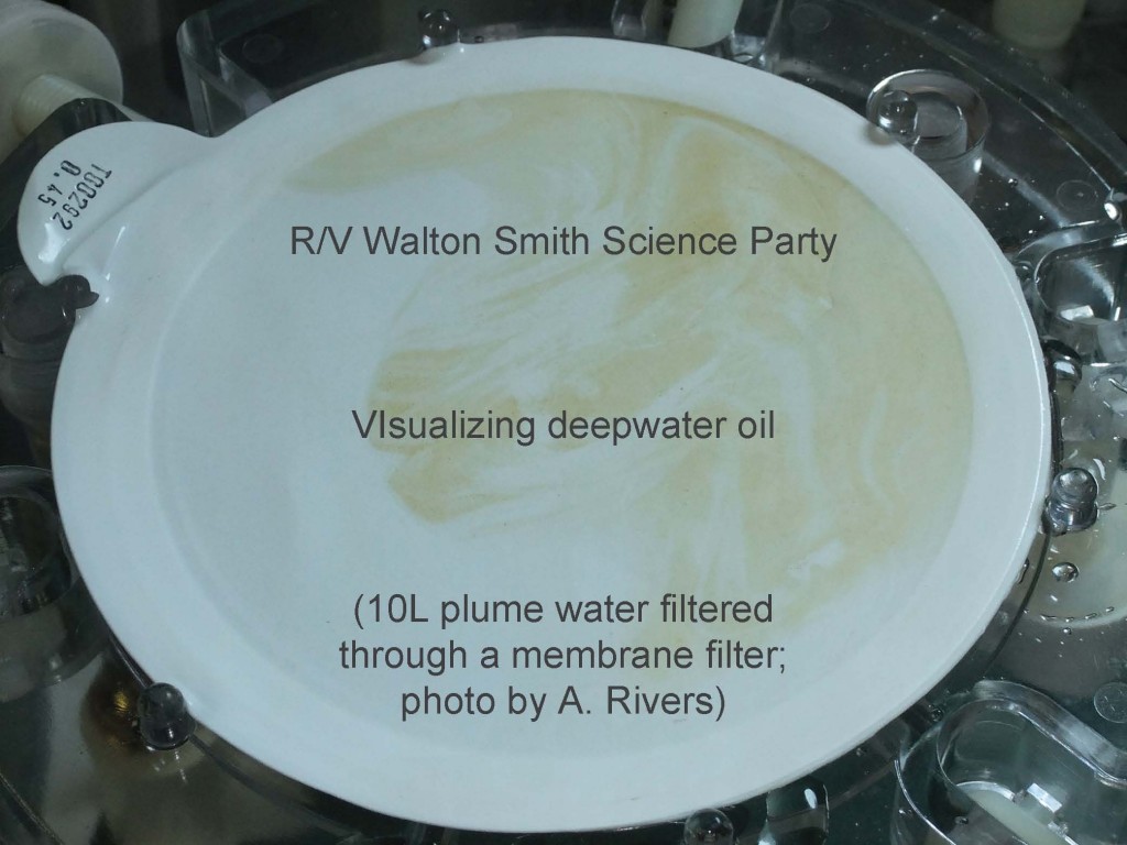 Filter after 10L of plume water was passed through it -- visible oil!