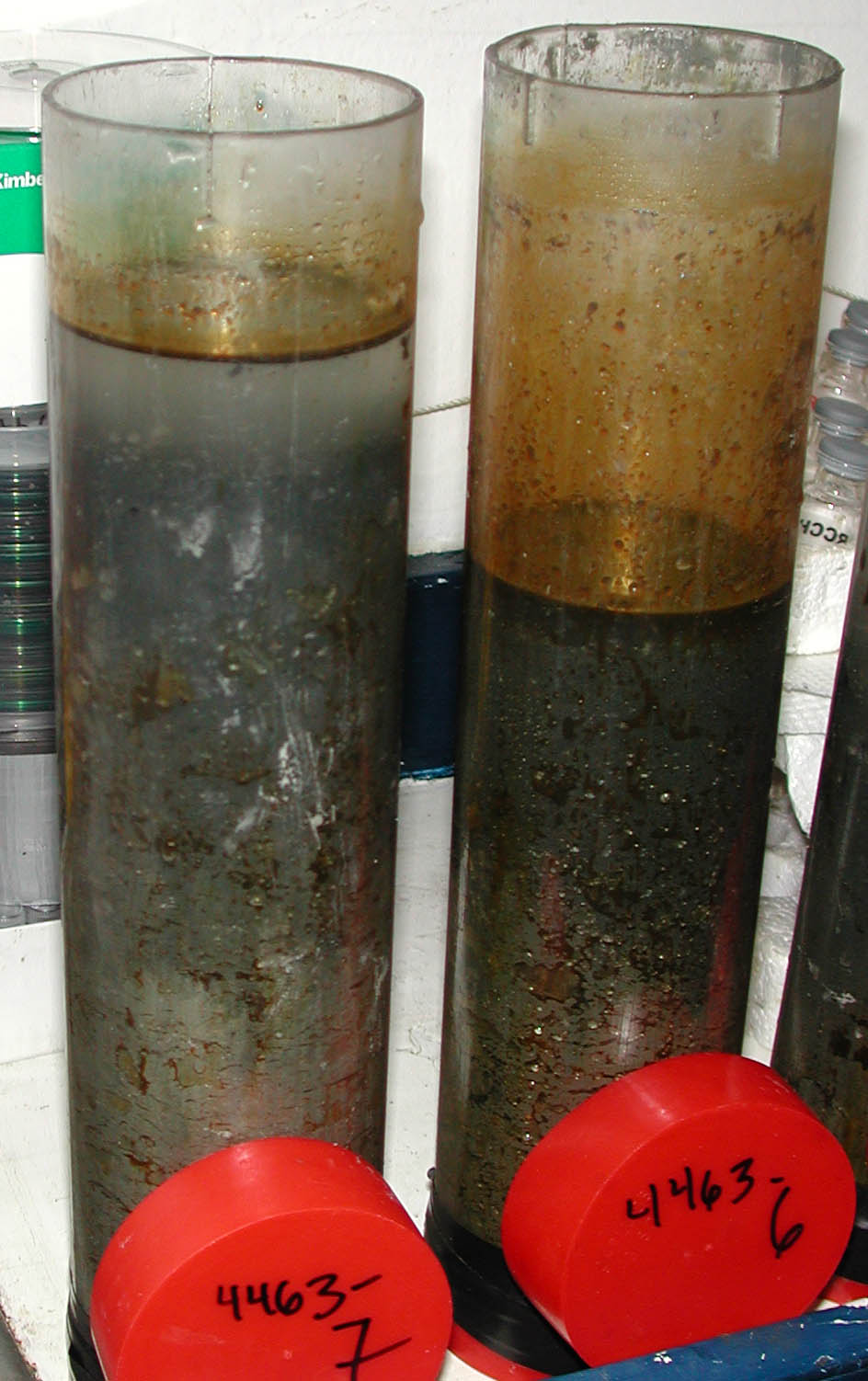 Oily sediments from a natural Gulf of Mexico cold seep, Green Canyon 185