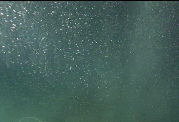 Gas bubbles venting from a mud volcano