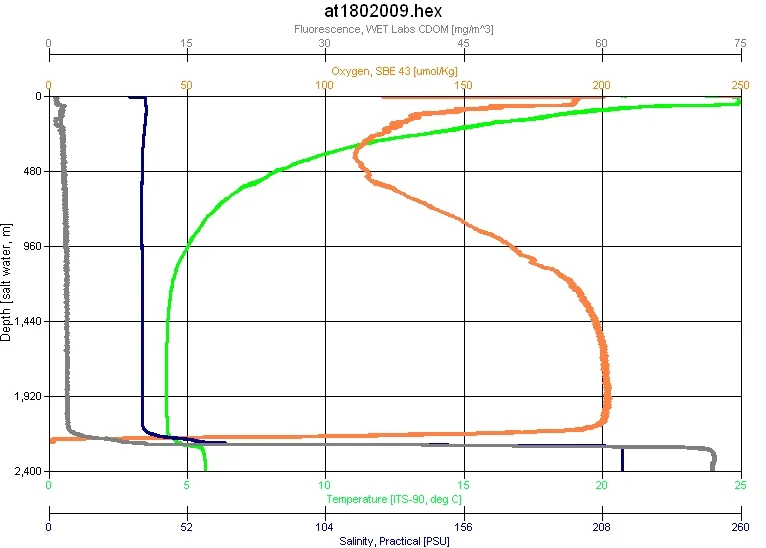 CTD profile through the southern mini-basin of the Orca Basin