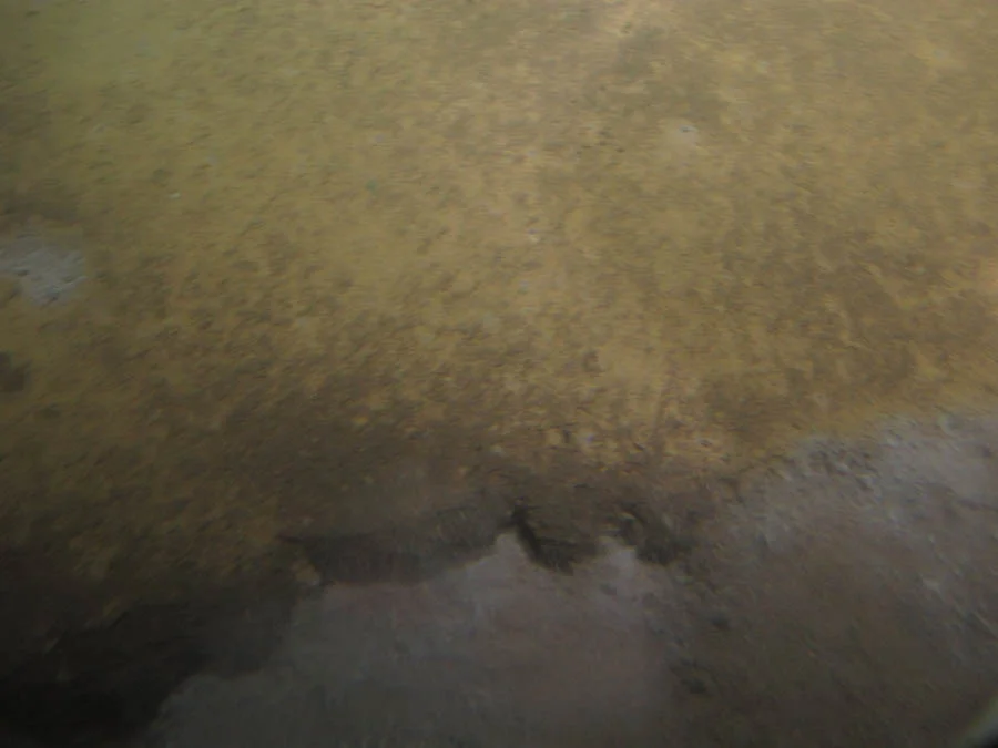 Orange/brown, iron-rich terrace; at the lower edge a brine flow was visible