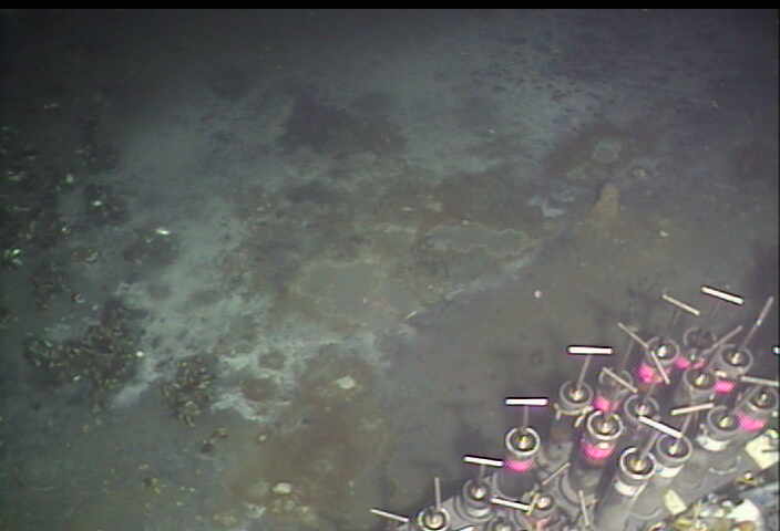 Bubbling mud pots along the shore of a brine pool