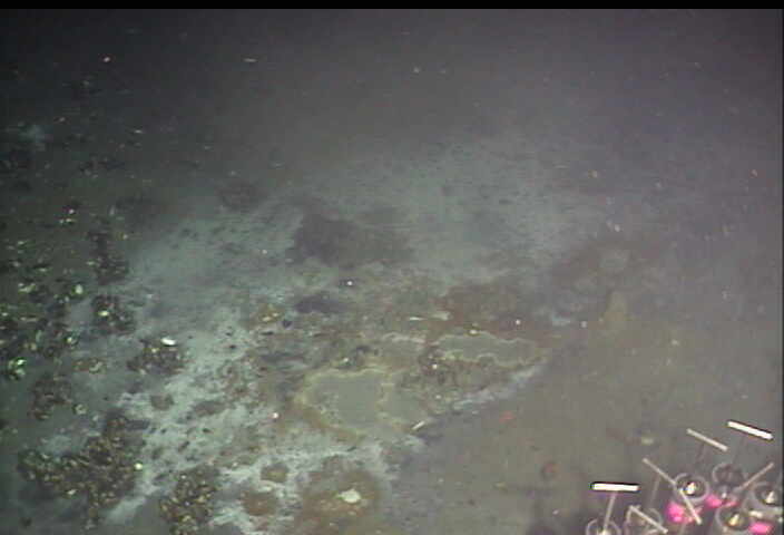 Seafloor fumarole