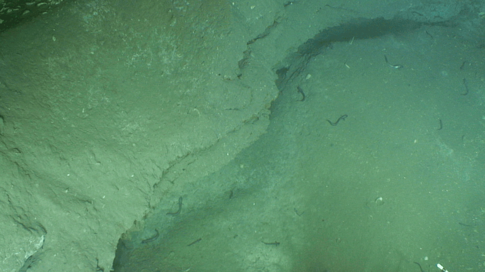 MC118_sedimented_hydrate_ledge_web_0.gif