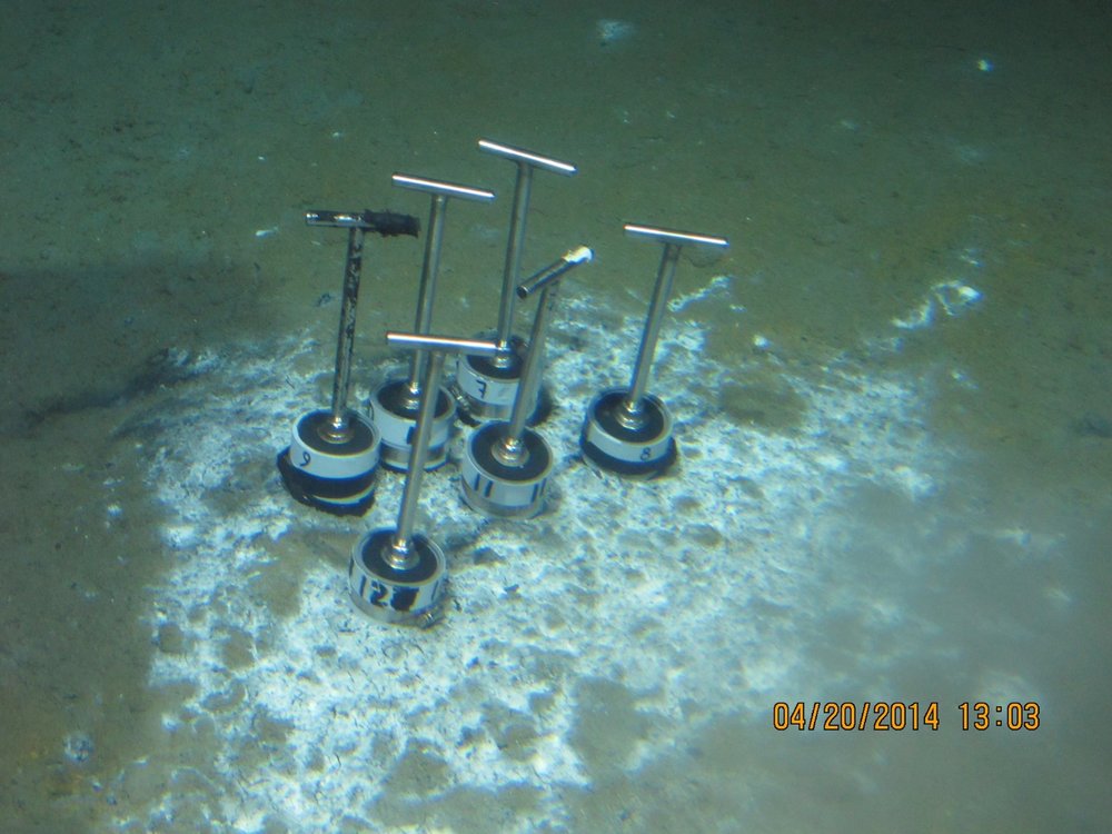 12-coring white microbial mat.jpg