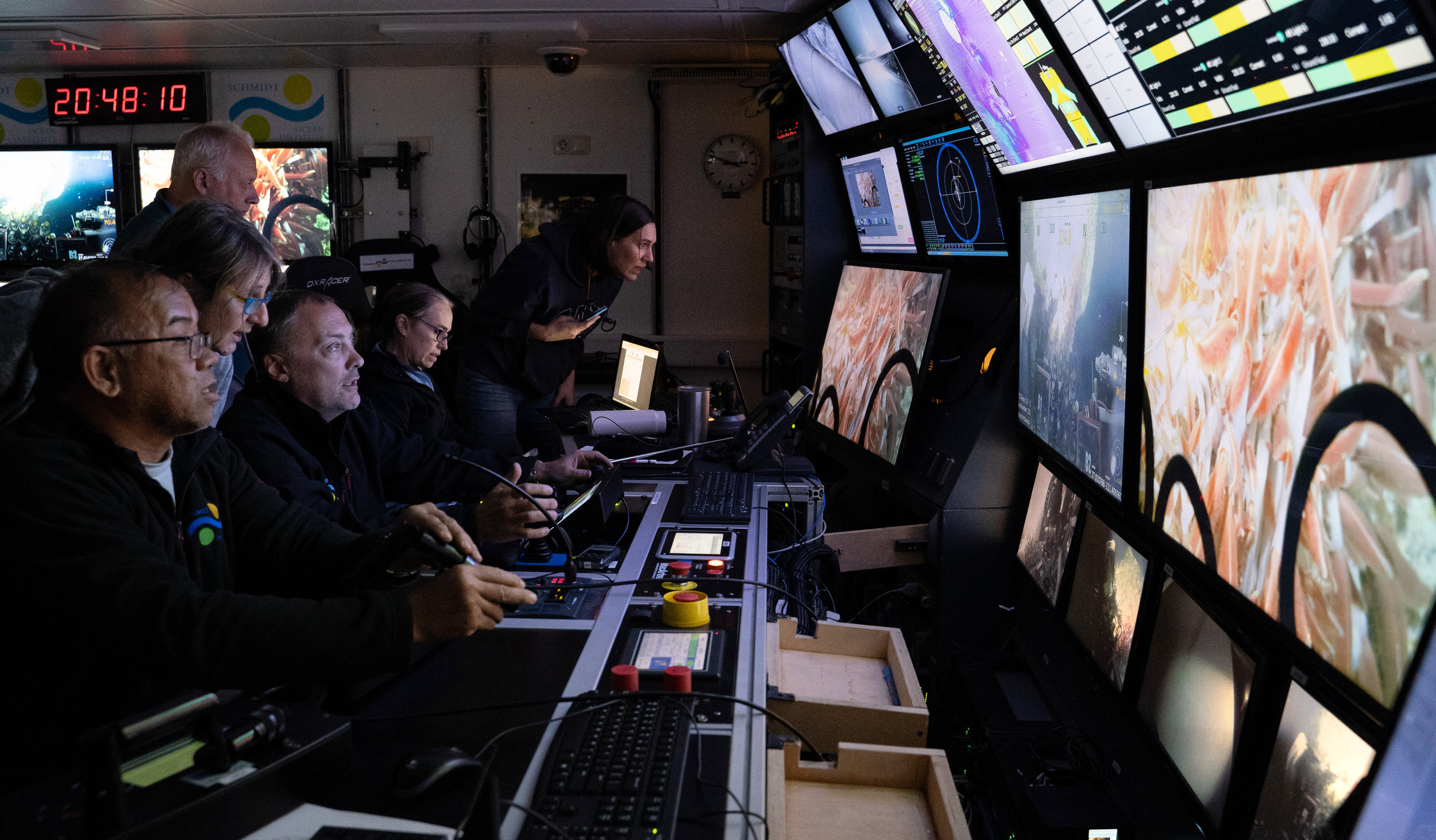 Looking at Riftia tube worms via the ROV's camera. (Image courtesy of Schmidt Ocean Institute)