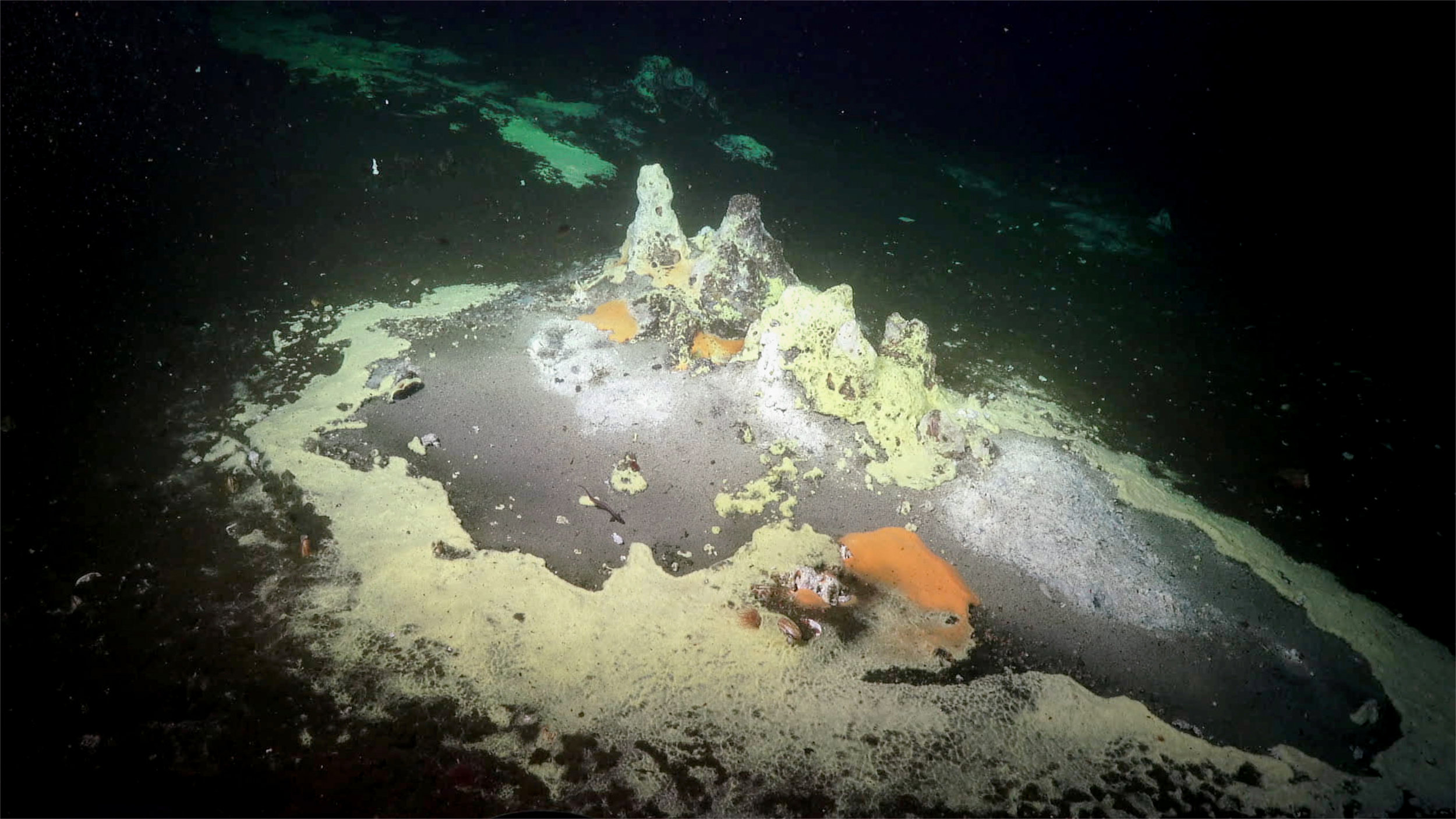 Bacterial mats and hydrothermal chimneys in the Gulf of California.  (Image courtesy of Schmidt Ocean Institute)