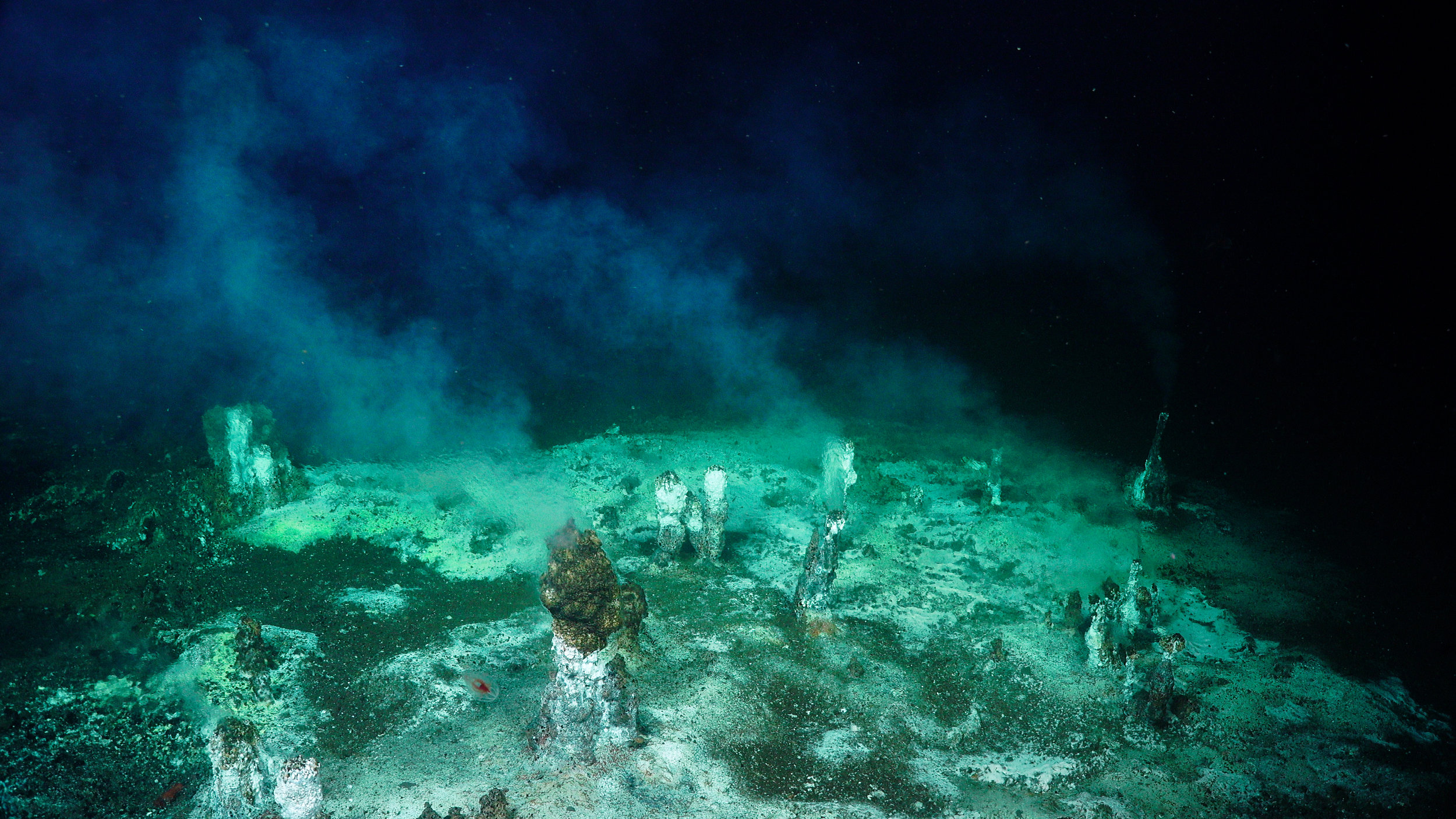 Bacterial mats and hydrothermal chimneys in the Gulf of California.  (Image courtesy of Schmidt Ocean Institute)