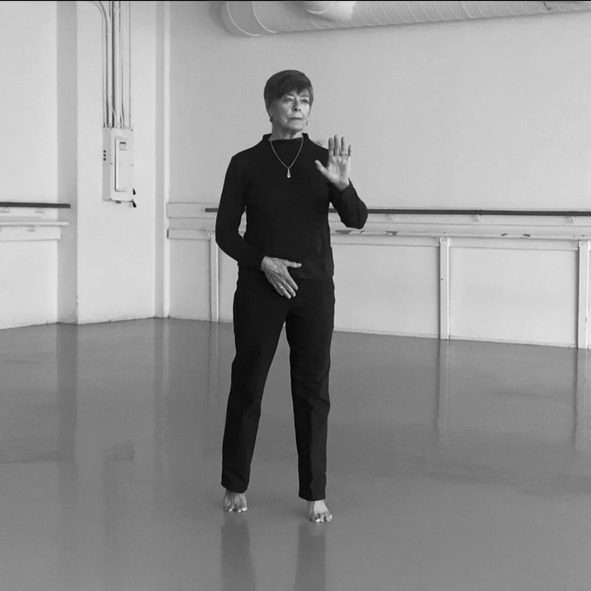 Cherylyn Lavagnino (Artistic Director, Choregrapher)