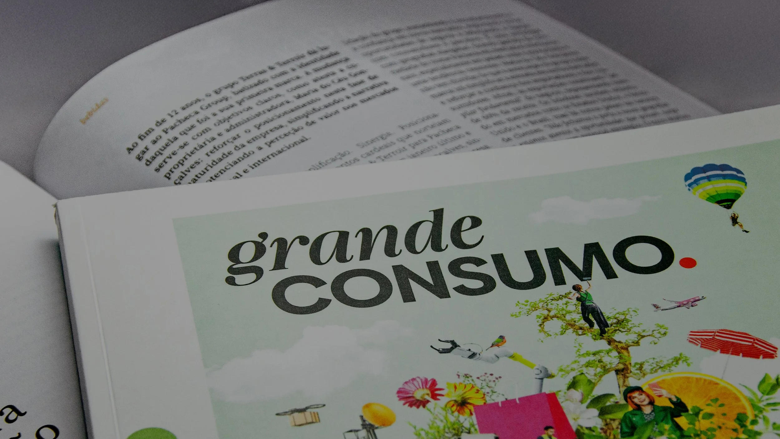 grandeconsumo-rebranding-wonderwhy.jpg