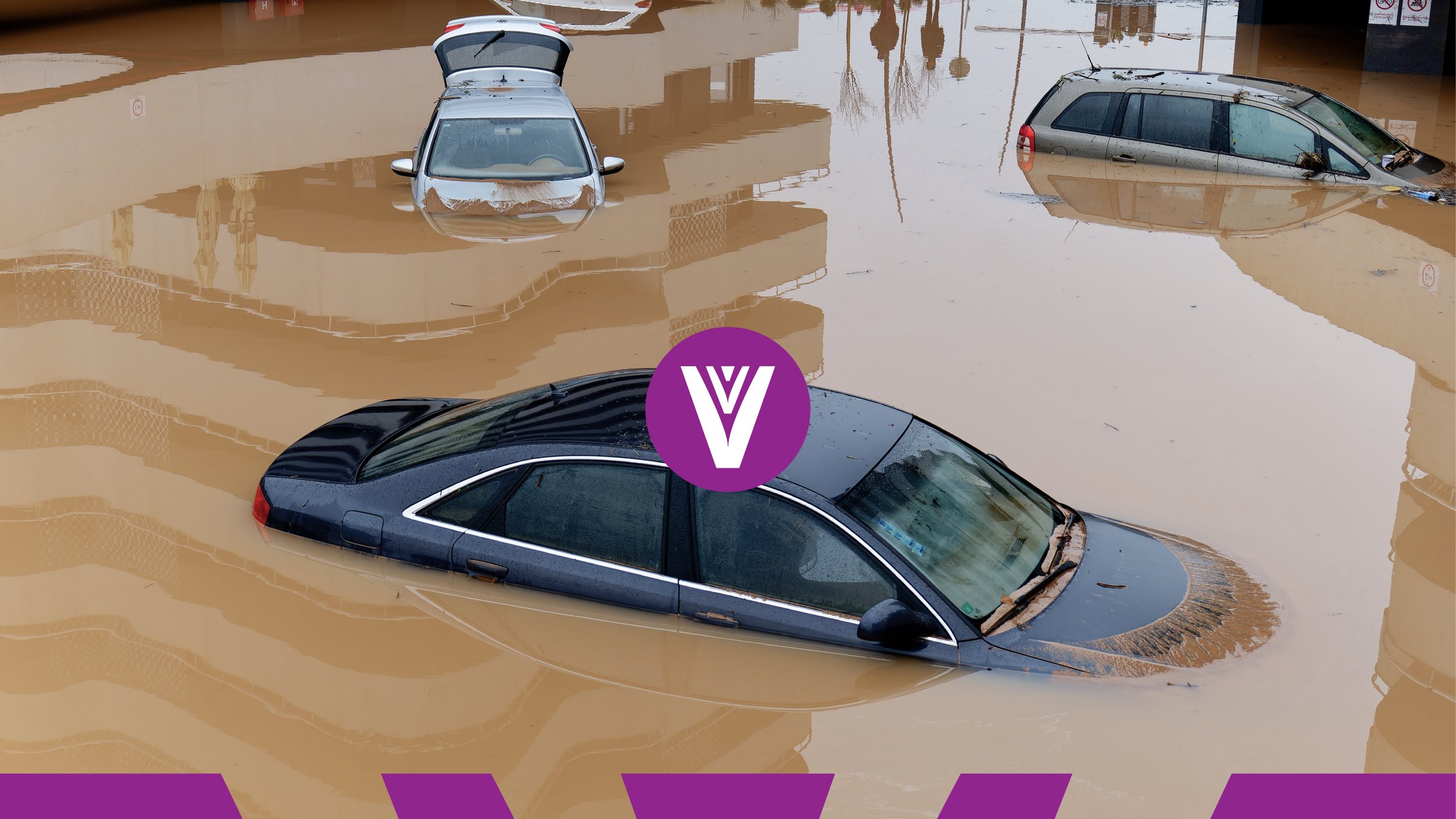 vianas-repositioning-rebranding-wonderwhy