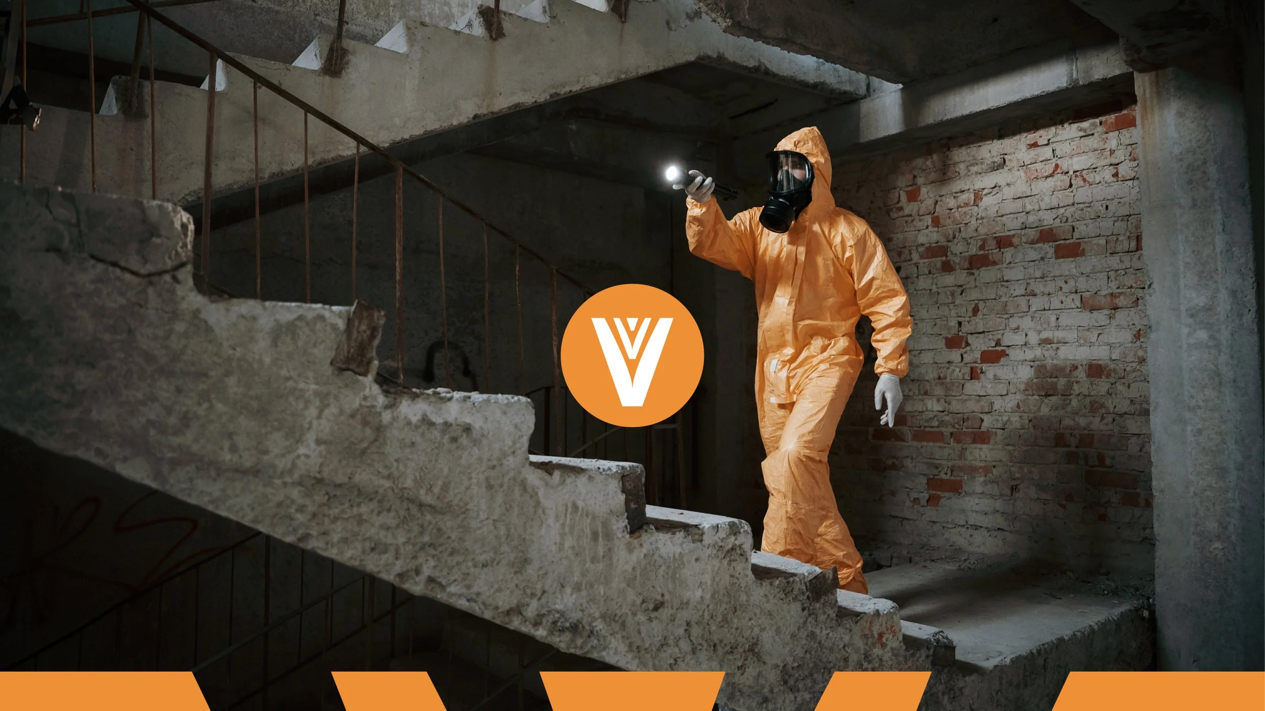 vianas-repositioning-rebranding-wonderwhy