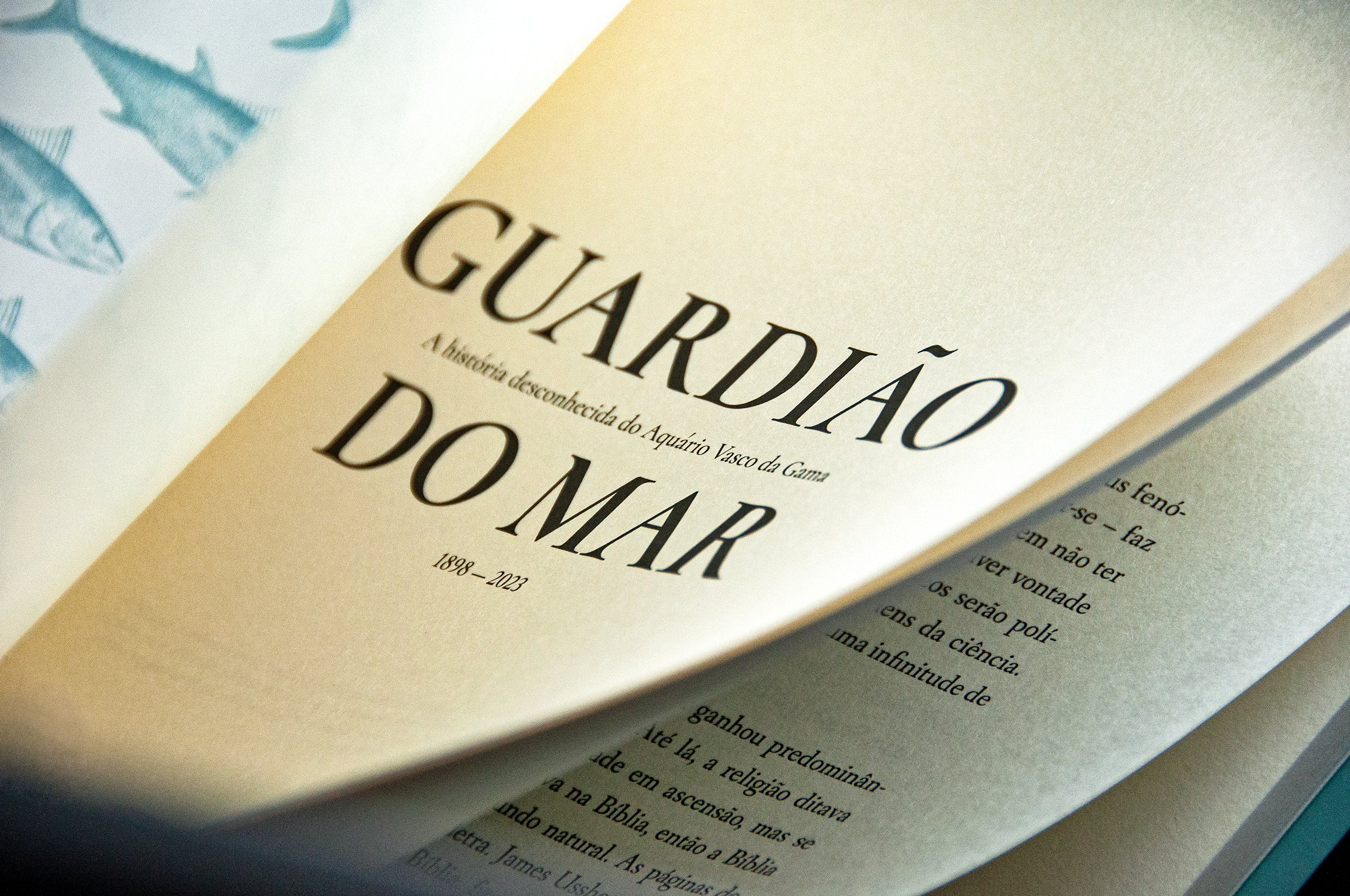 aquariovascodagama-brandstorytelling-wonderwhy