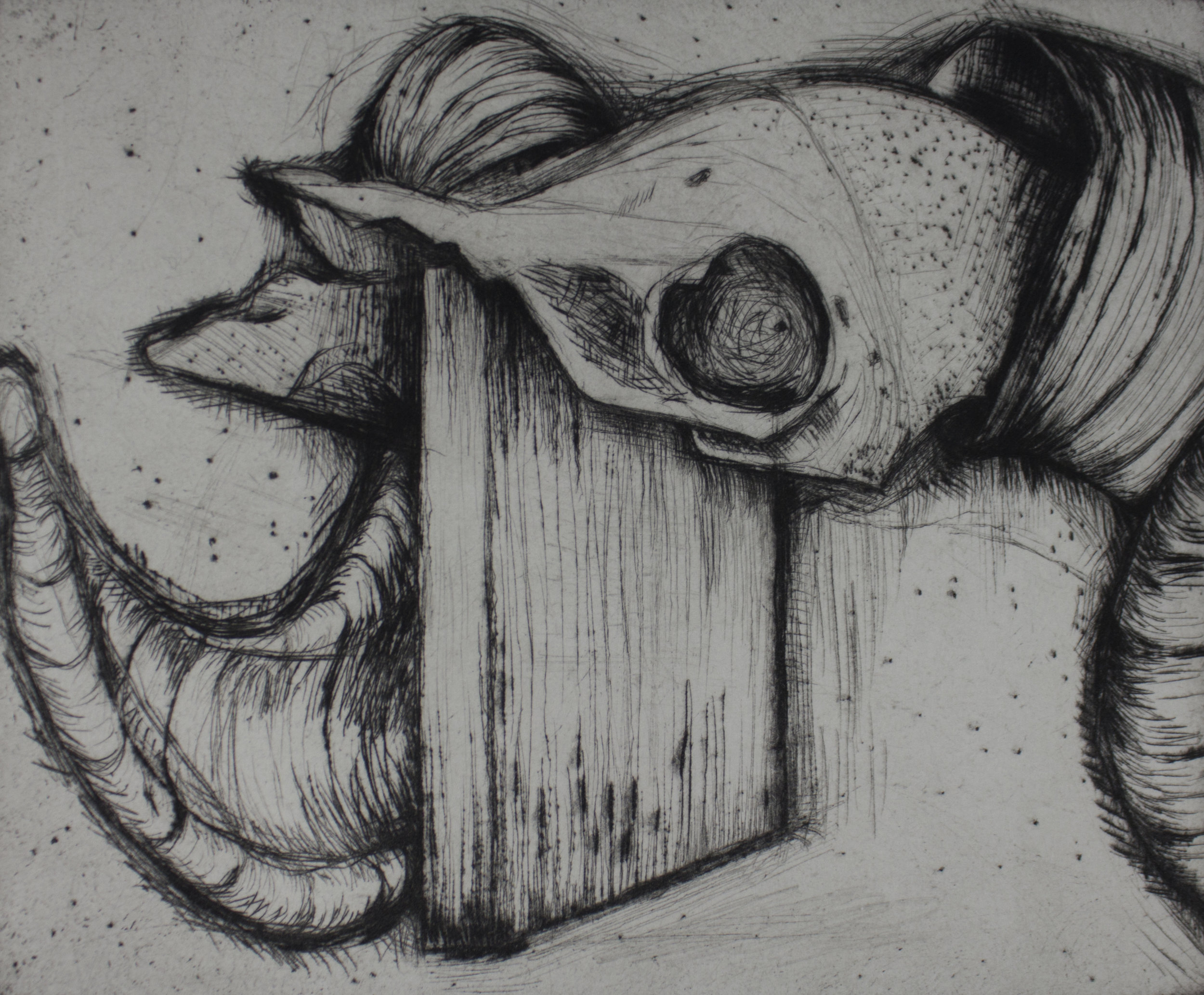 Untitled (Ram Skull)