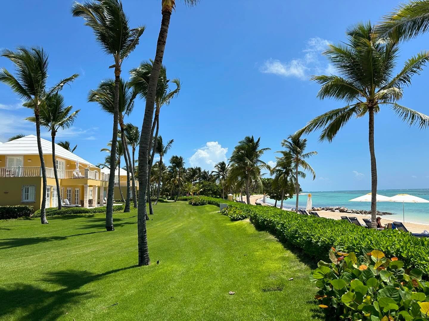 When luxury and the sea meet, that is @tortugabaypuntacana 

My stay was cut short due to a family emergency back home earlier this summer. We made the most of our 24 hour stay at Tortuga Bay Punta Cana. Out of all the luxury places I&rsquo;ve stayed