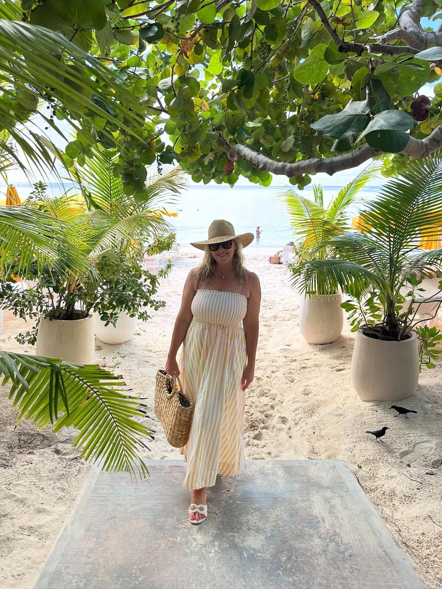 Nestled on one of the most beautiful beaches in the Caribbean, @palmheightsgc delivers a boutique resort experience with coastal chic elegance. 

This beachfront, all suite oceanview resort is home to the Coconut Club bar and my favorite restaurant o