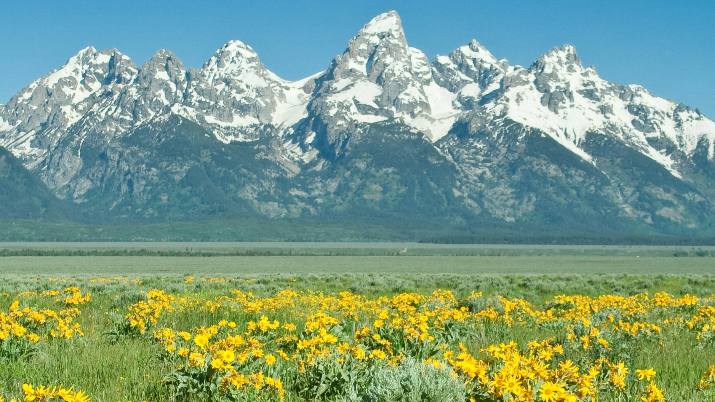 Grand Tetons.jpeg
