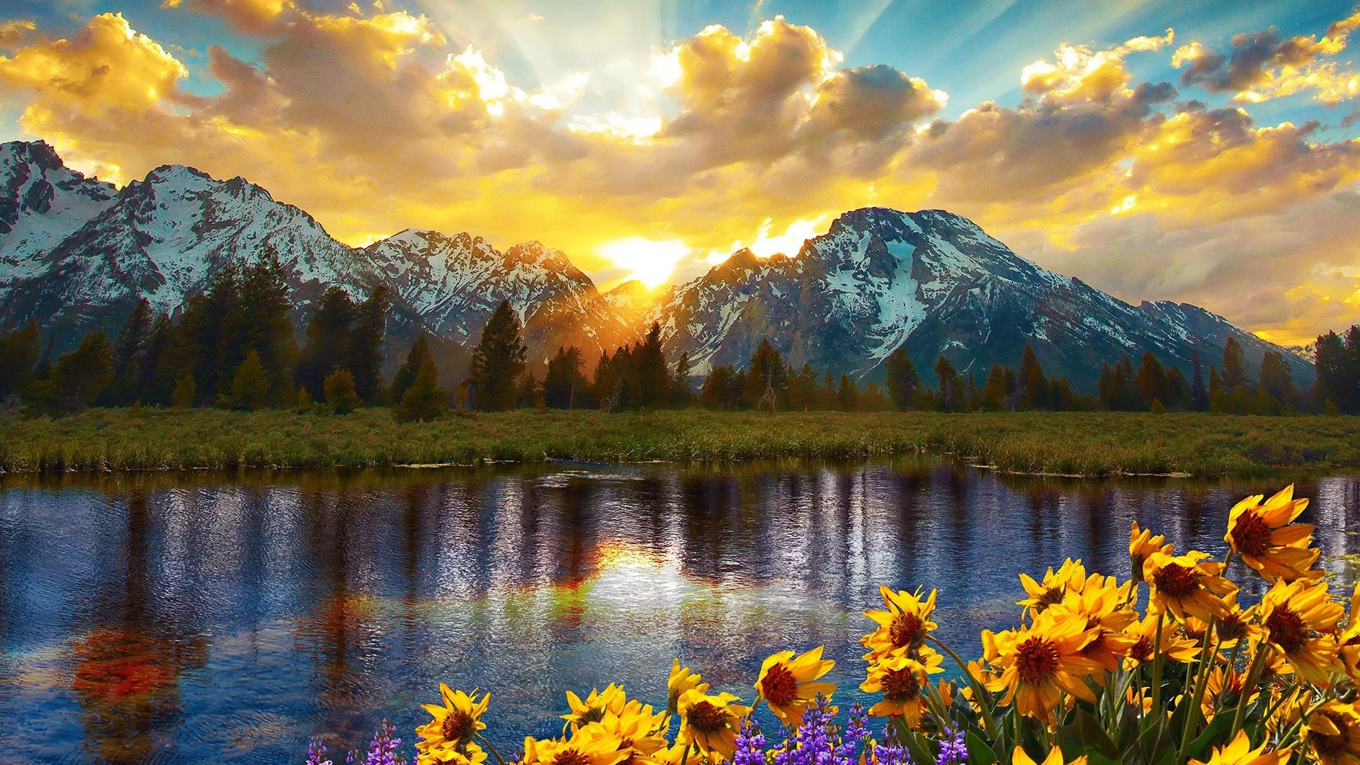 Jackson Lake.jpeg