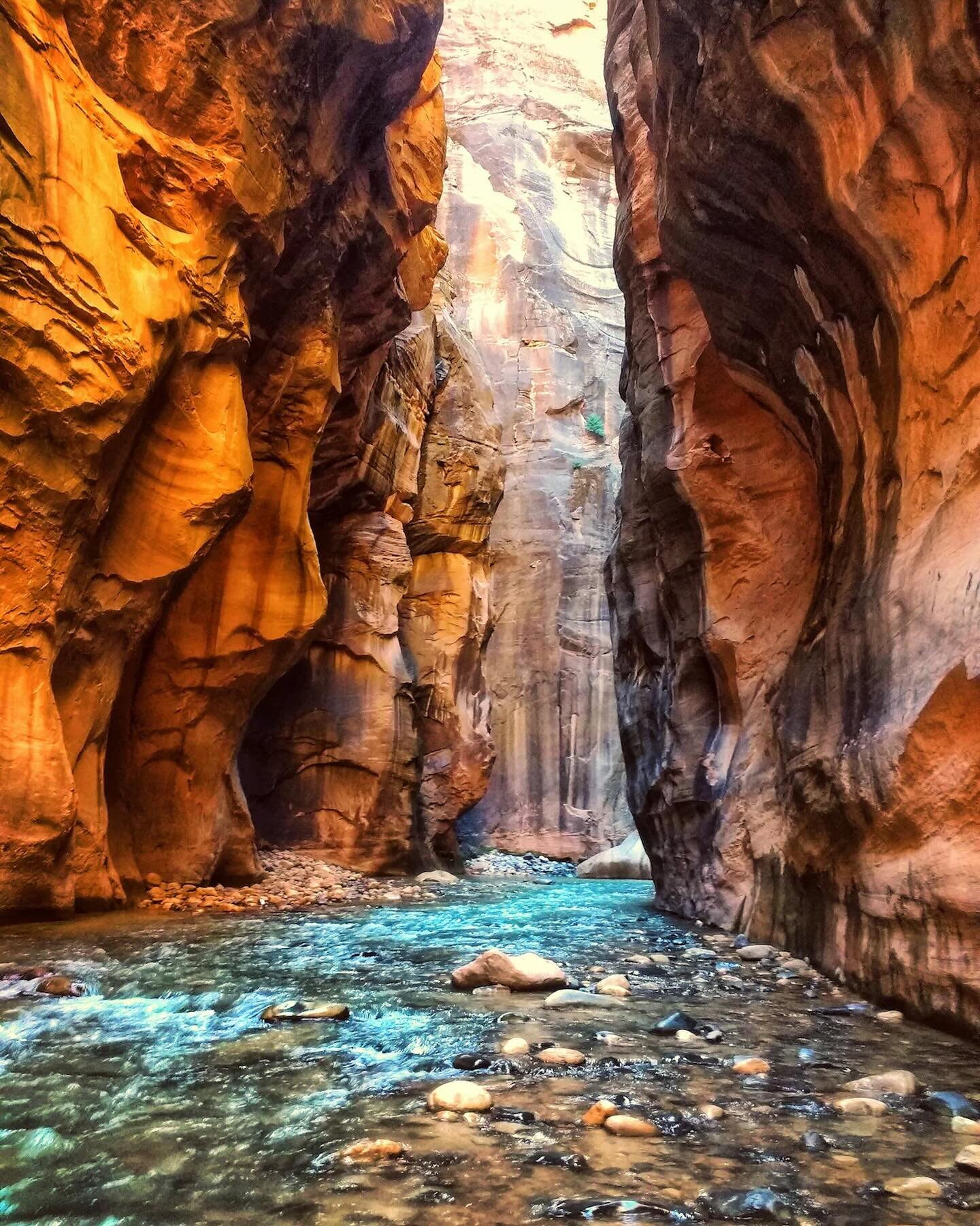 🚨 Only 4 tickets left four our trip to Zion National Park!

Come join us as we rappel down mountain walls among many other activities.

👉 Book your vacation at the link in bio /Destinations.

#outsidersny #joinoutsiders #embracetheoutdoors #feedyou