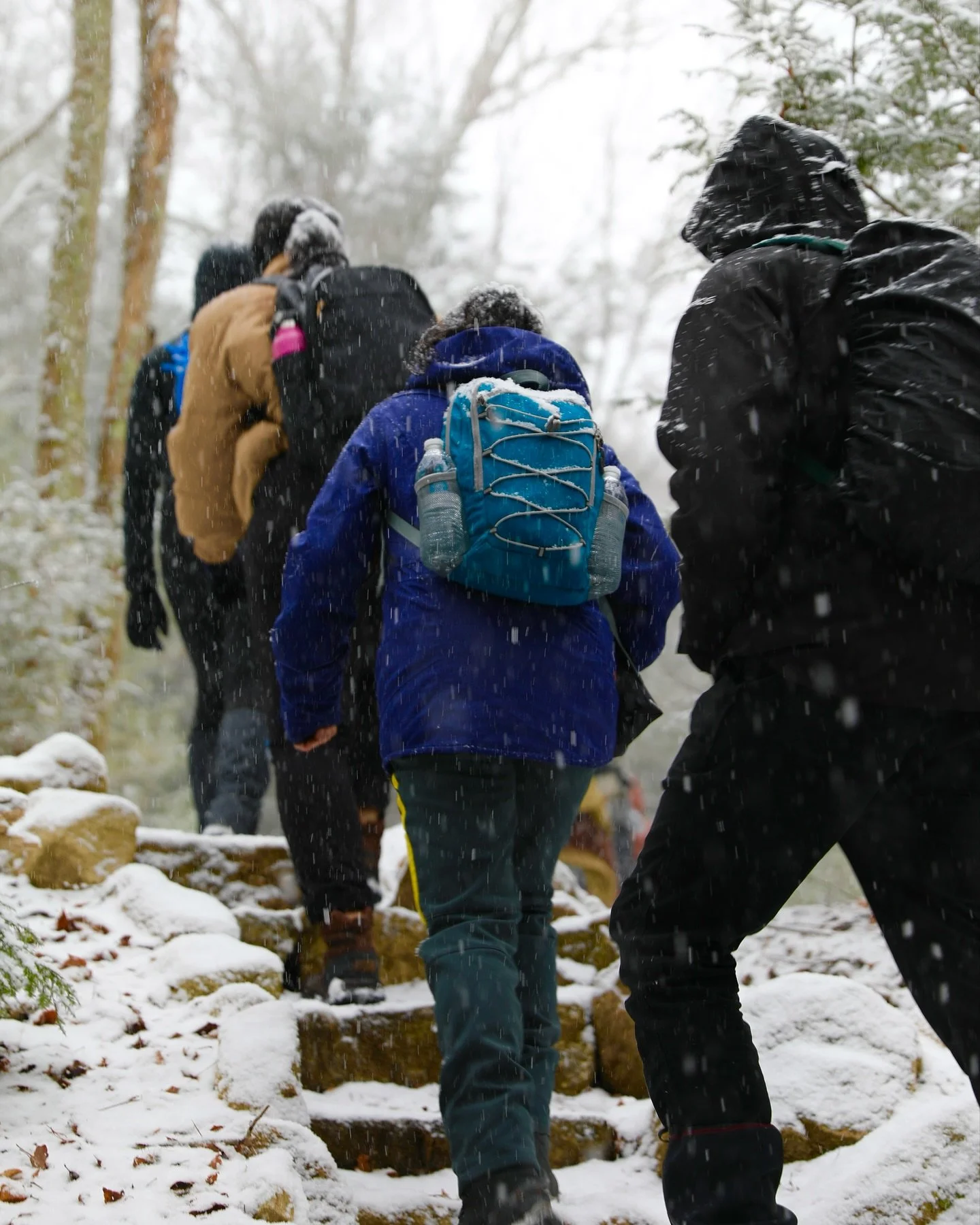 The city&rsquo;s first snow, a signal of a new season of adventure ❄️

Snow flurries dropped on NYC today but Wednesday is when the real drop happens. Join us as we celebrate this upcoming season and showcase adventures designed to test your resilien
