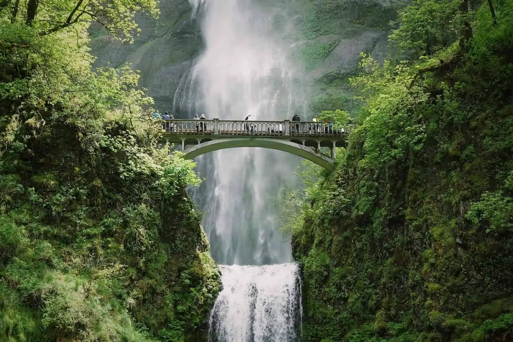 Columbia River Gorge.webp
