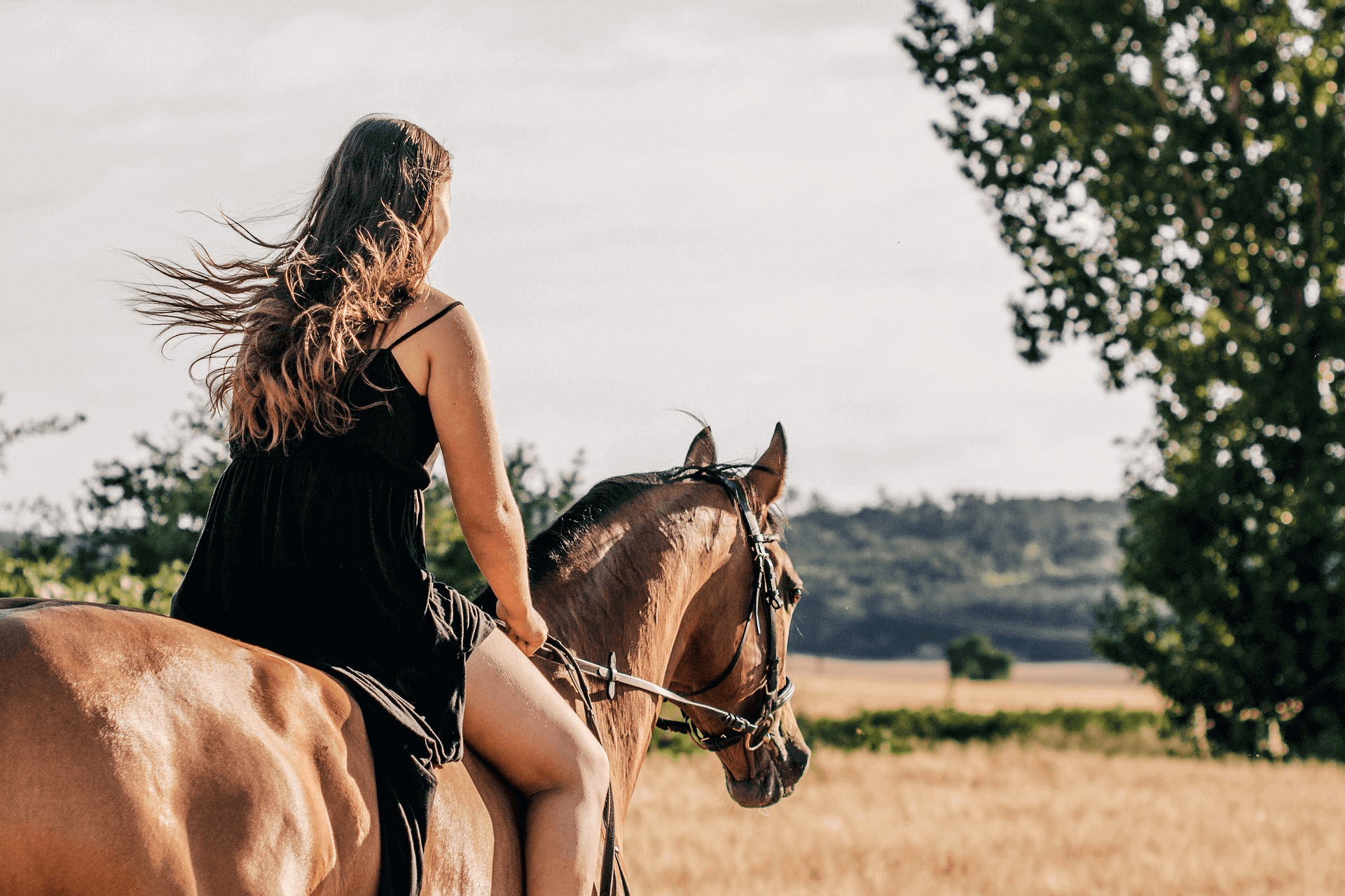 Horseback.png
