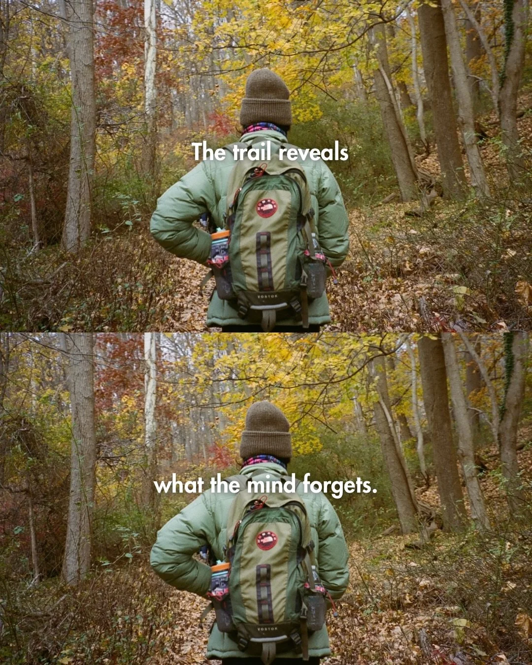 Some lessons from nature to start your week 💙