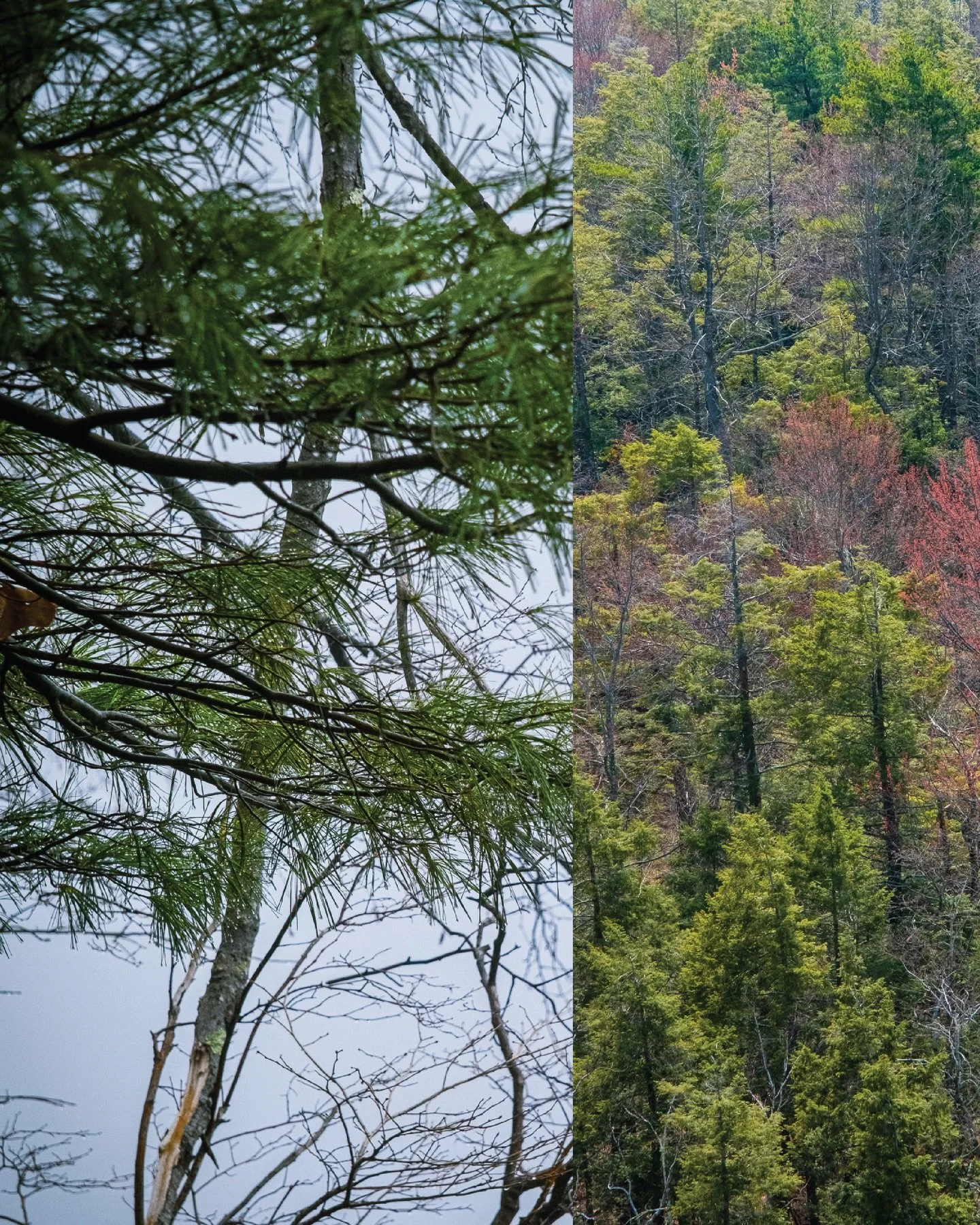 If you think winter is a season to stay inside&hellip; you haven&rsquo;t adventured with us.

Explore the outdoors and discover the beauty waiting in the cold ❄️