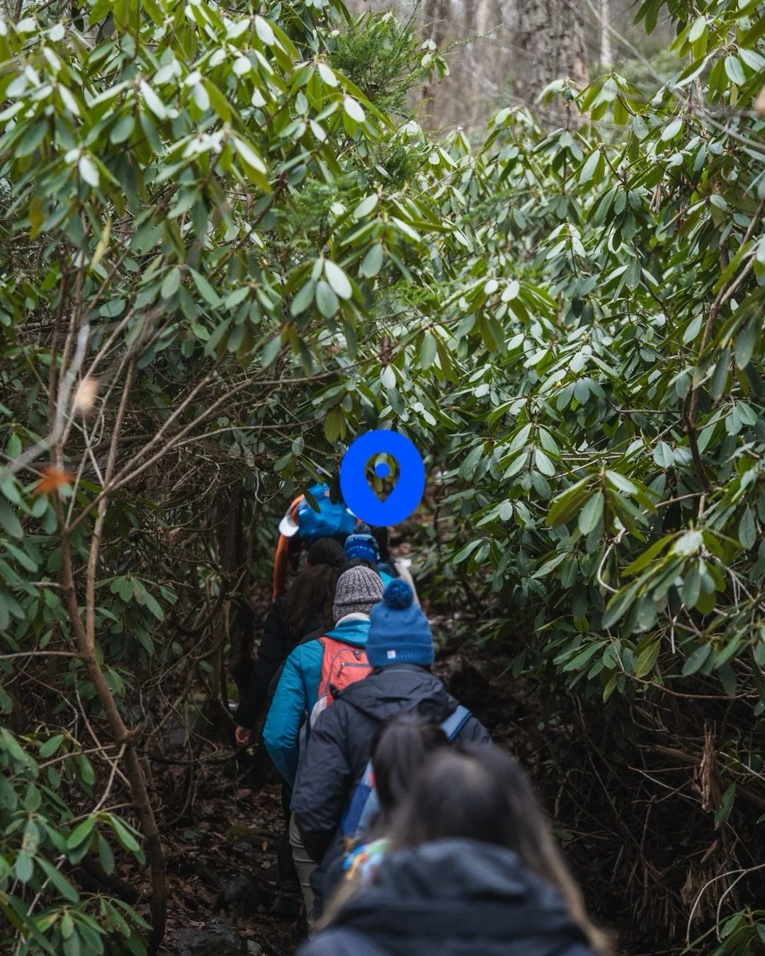 Cold air. Steady steps. One foot in front of the other. 🌱🥾

Every hike is a reminder that progress doesn&rsquo;t need to be loud to be real. You show up. You move forward. You grow. It&rsquo;s not always easy, sometimes the trail pushes you to your
