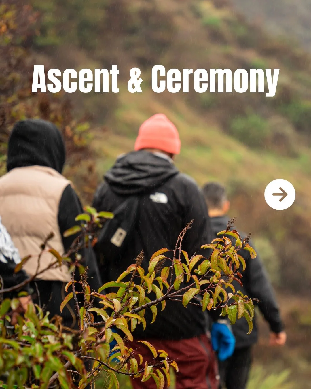 LA, let&rsquo;s go OUTSIDE 🥾⛰️

We&rsquo;re bringing a full-day experience to LA, one that starts in the mountains and ends on the dance floor. Forage, sip tea, set intentions, and dance with new friends. 

🗓️ Feb 7
📍Los Angeles
🎟️ joinoutsiders.