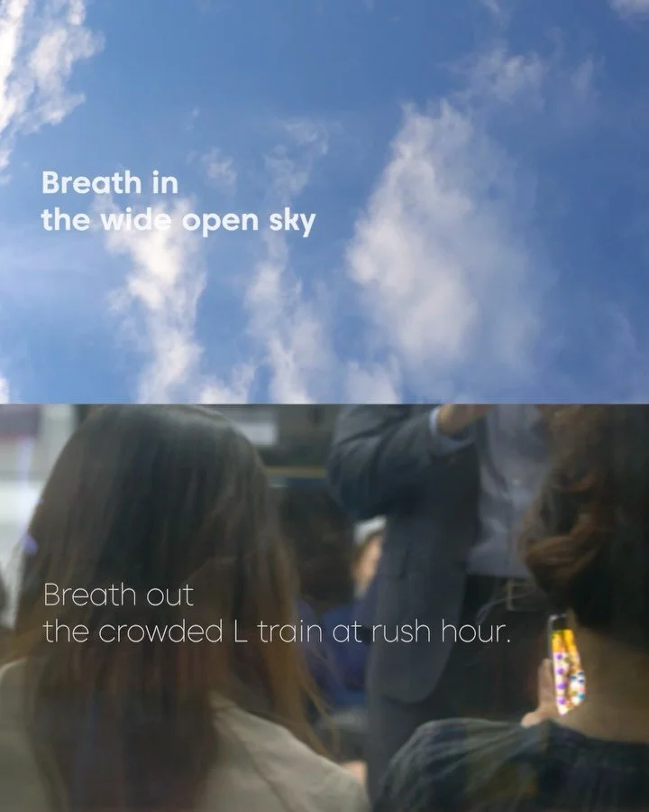 Sometimes all you need is a quiet moment outside.