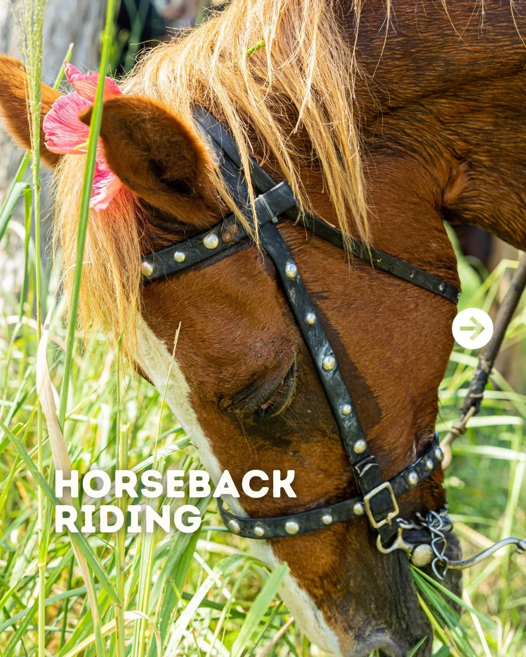 Some experiences don&rsquo;t need to be extreme to be memorable.

Quiet trails on a steady horse, moving through nature together. Join us this weekend for a guided horseback riding adventure at Echo Lake Stables.

🎟️ joinoutsiders.com